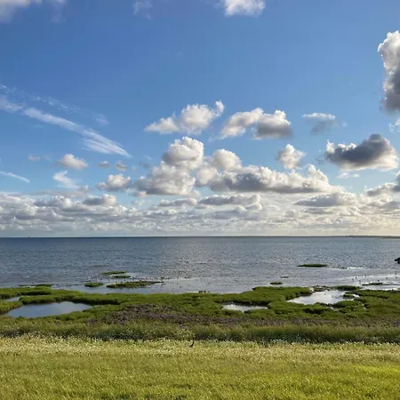 Haus Seepferdchen 238 - Duene *